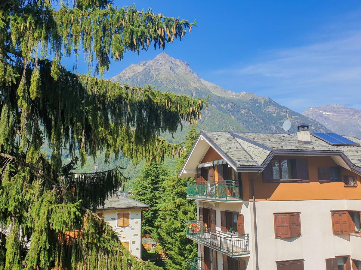 Hotel Fior Di Monte Caspoggio Εξωτερικό φωτογραφία